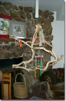 Perches