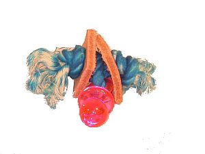 Avian Specialties: Small My Binkie Handheld Bird Toy