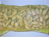 Organic soft shelled almonds package